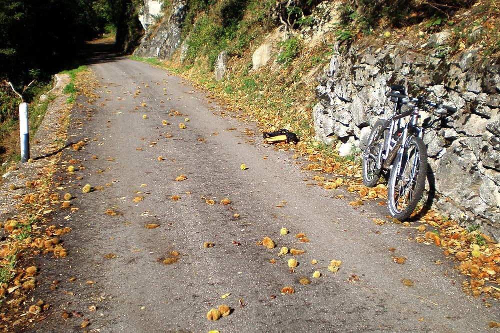 Pinè e Laghestel in MTB