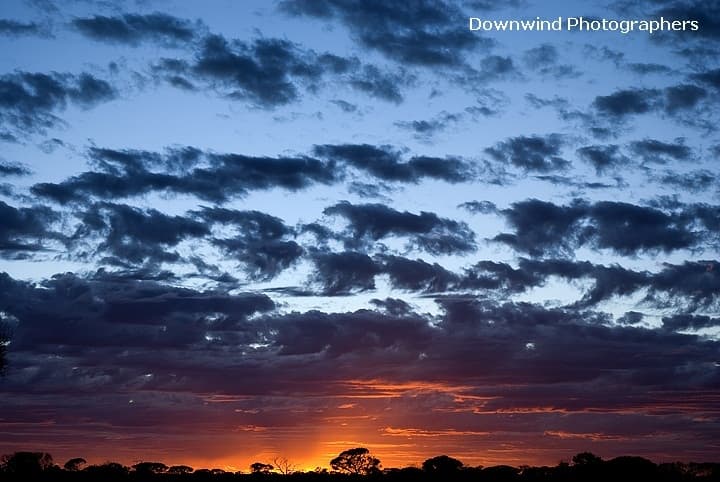 Coast to coast : Sydney - Perth, i miei primi 4 mesi australiani