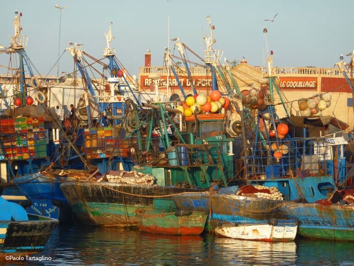 Pescherecci in Marocco