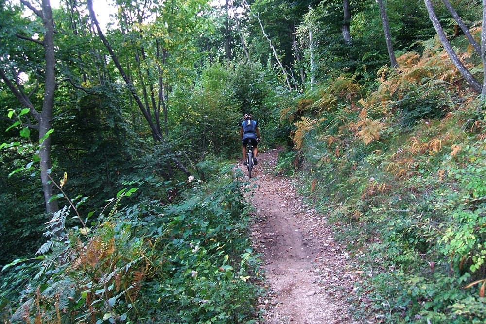 Passo Cimirlo in MTB