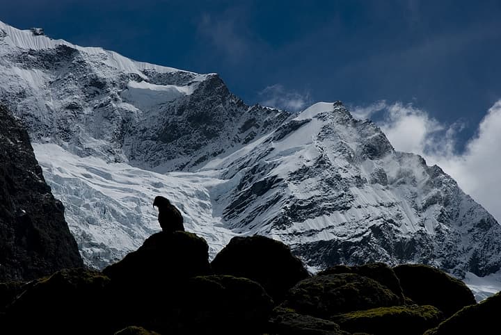 Montagne in Nuova Zelanda