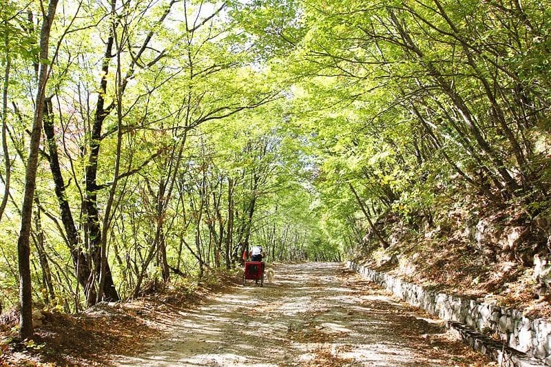 Cicloturismo in autunno