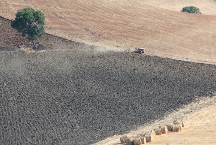 Colline toscane in Maremma