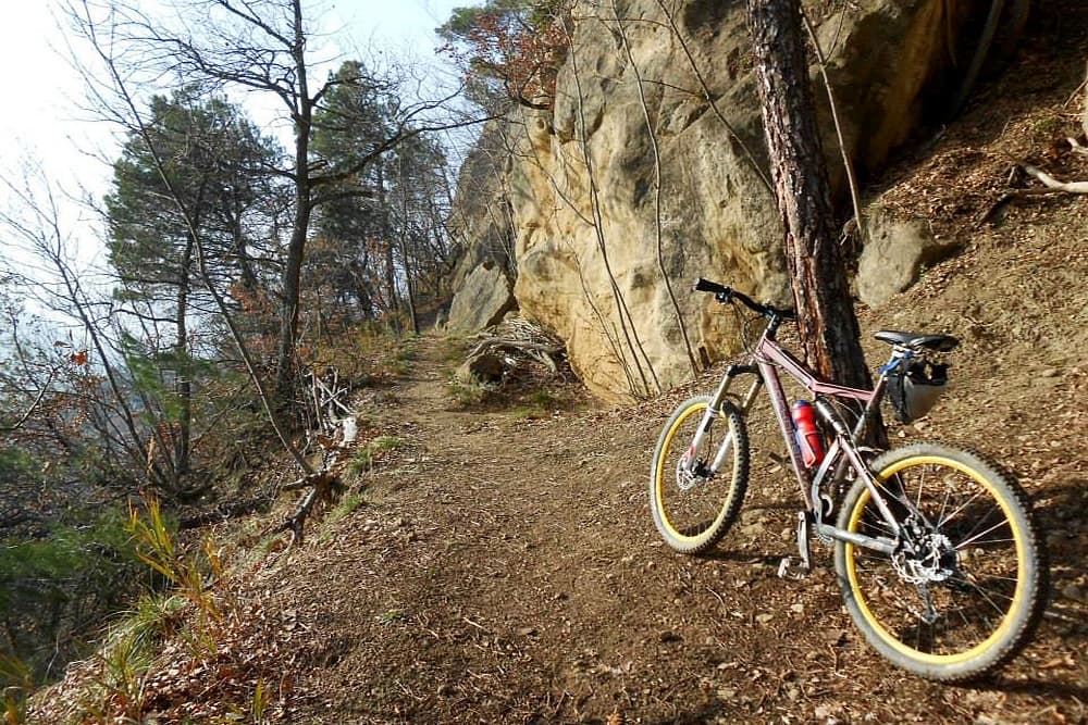 Sasso Marconi: il tempio bolognese della MTB