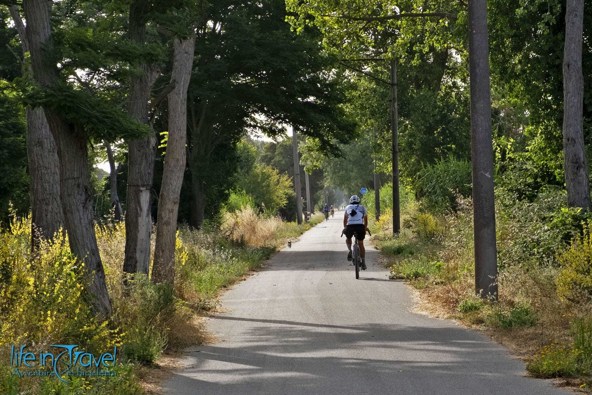 Ciclabile del Trammino