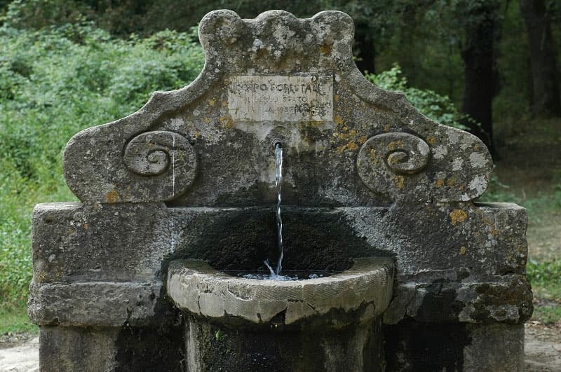 Fonatanile nel boscodi Manziana