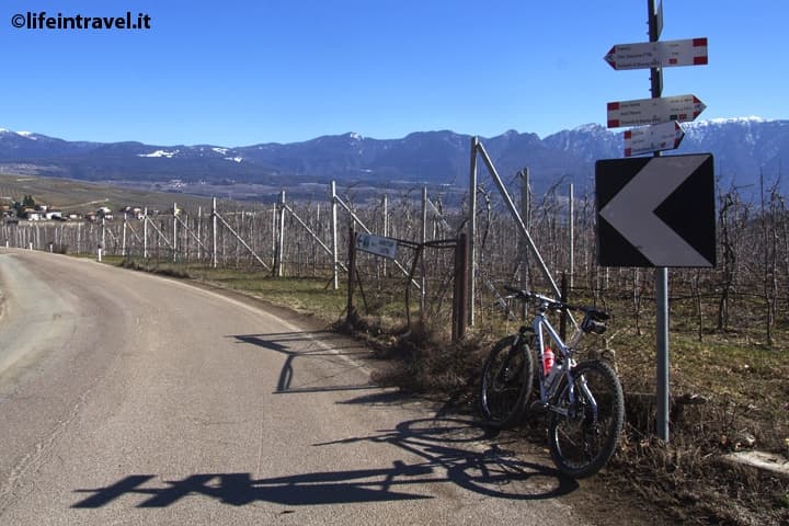 Bicicletta Viner