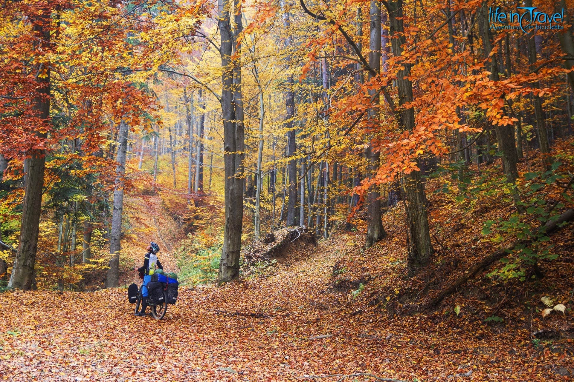 Slovacchia in bici