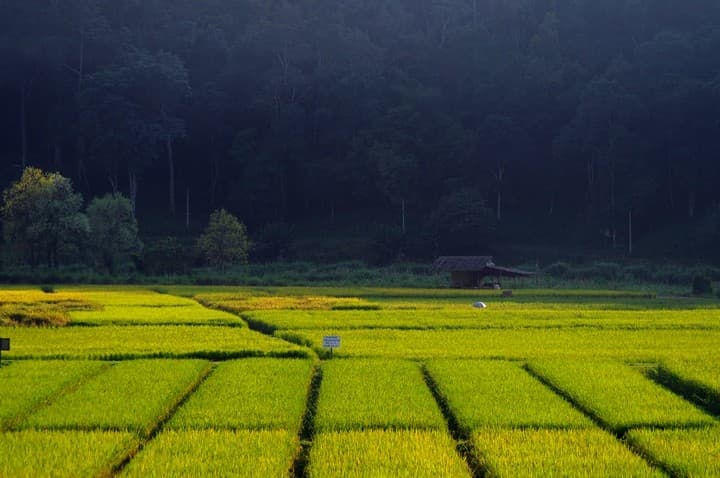 La strada dalle 1864 curve in Thailandia