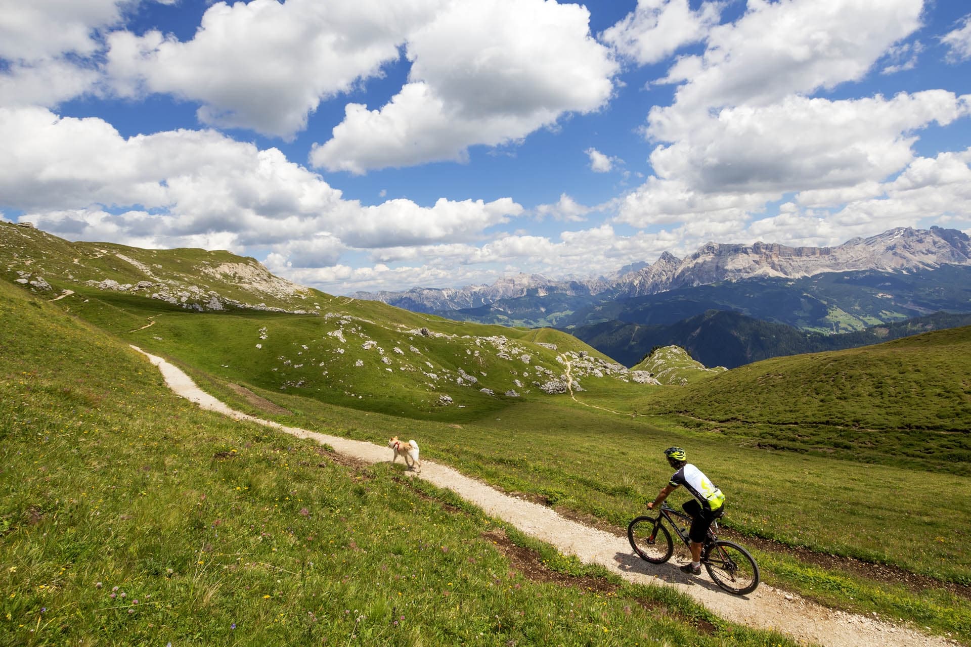 Percorsi ciclisti esigenti