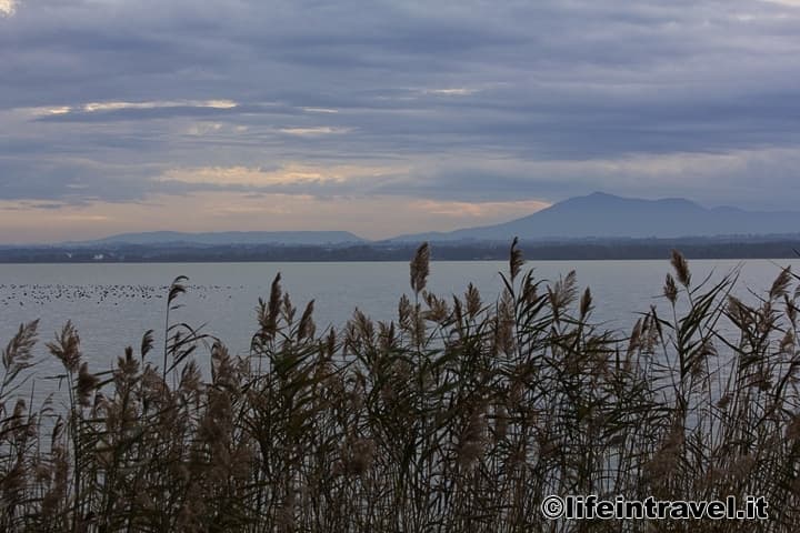 Lago Trasimeno in bici