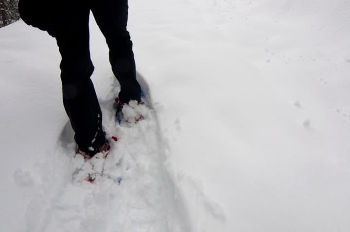 Ciaspolata sul monte Peller in val di Non