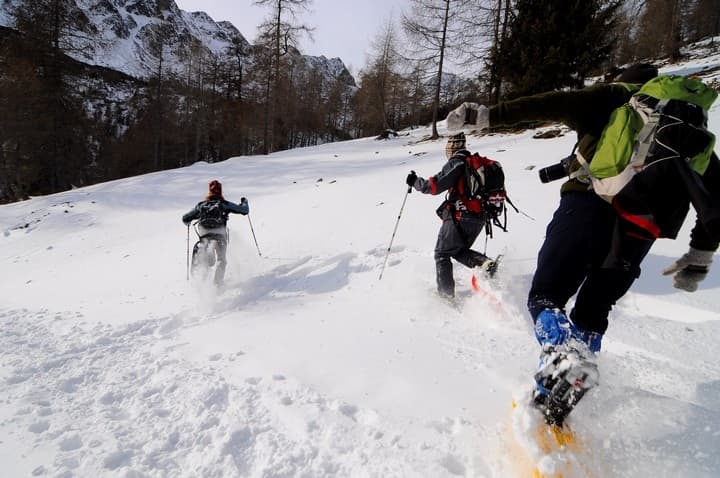 Giro delle malghe sulle Maddalene, tra Trentino e Alto Adige