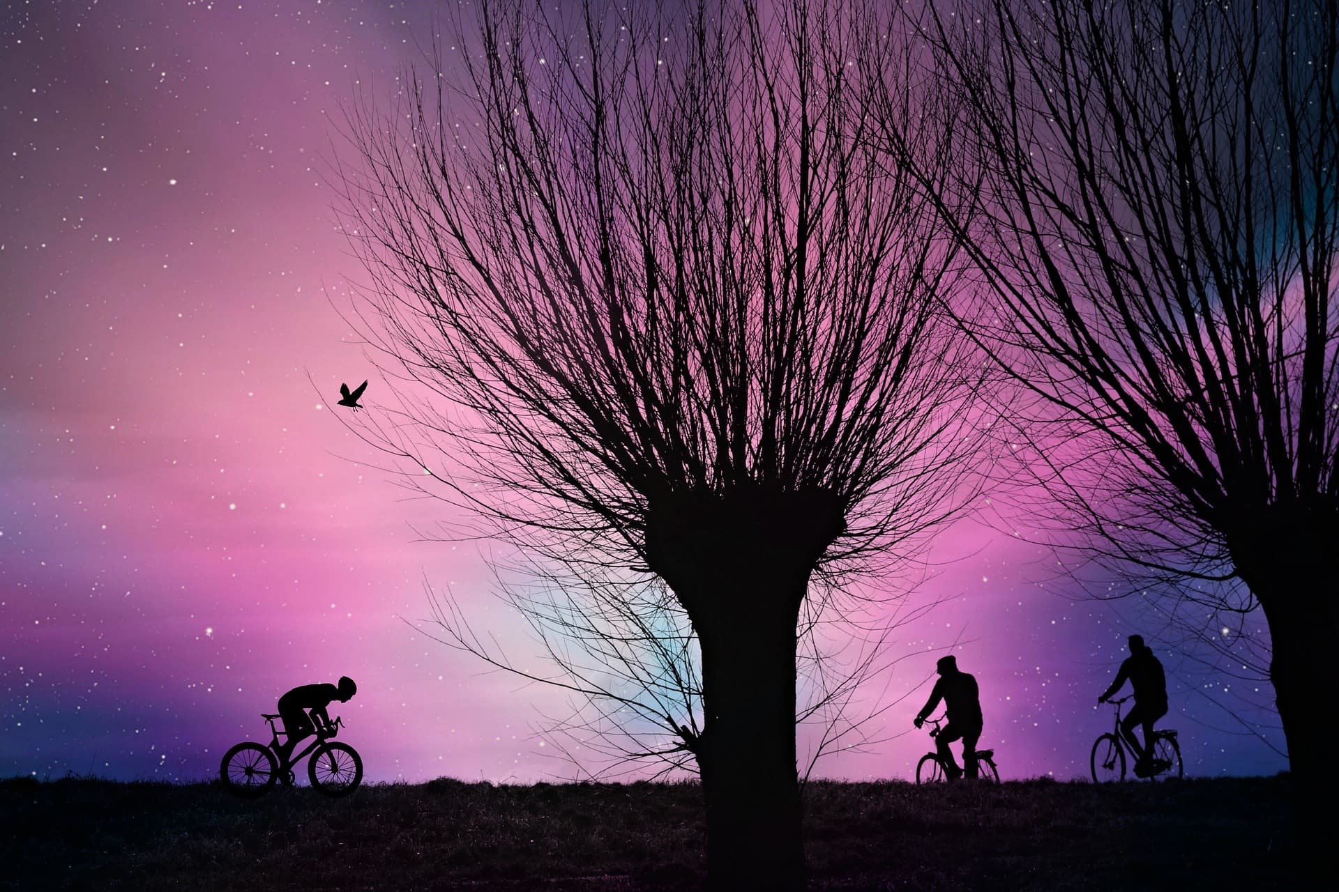 Regali da fare a un ciclista