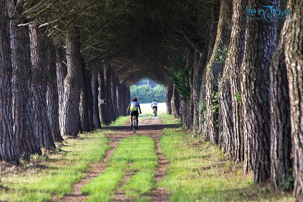 Bibione in bici