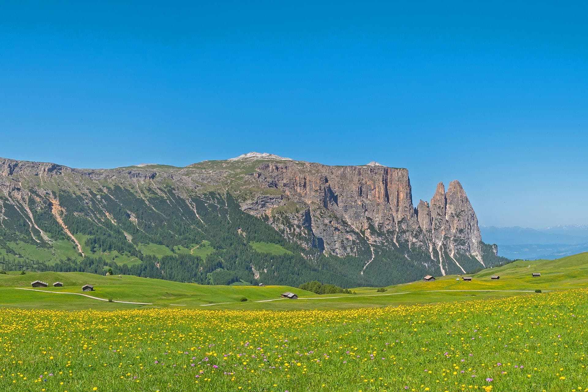 Altipiano di Siusi