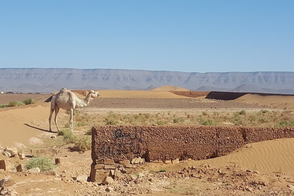 Viaggiare in bicicletta - Marocco