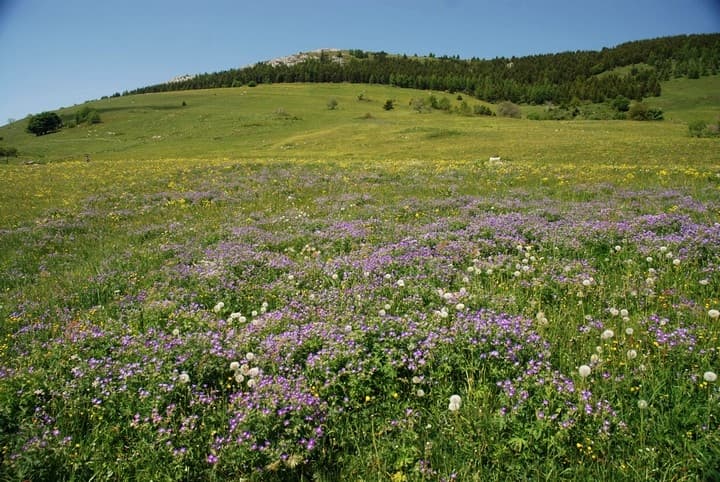 Monte Bondone