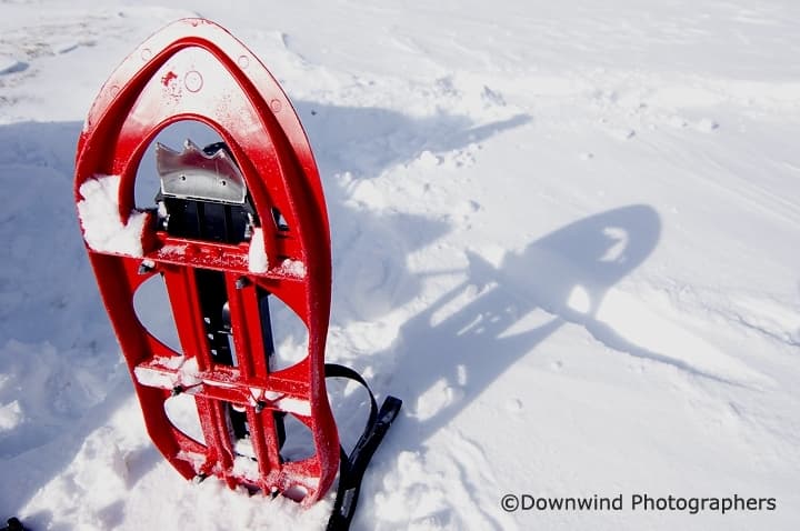 Ciaspole TSL 225: ideali per le tue escursioni nella neve