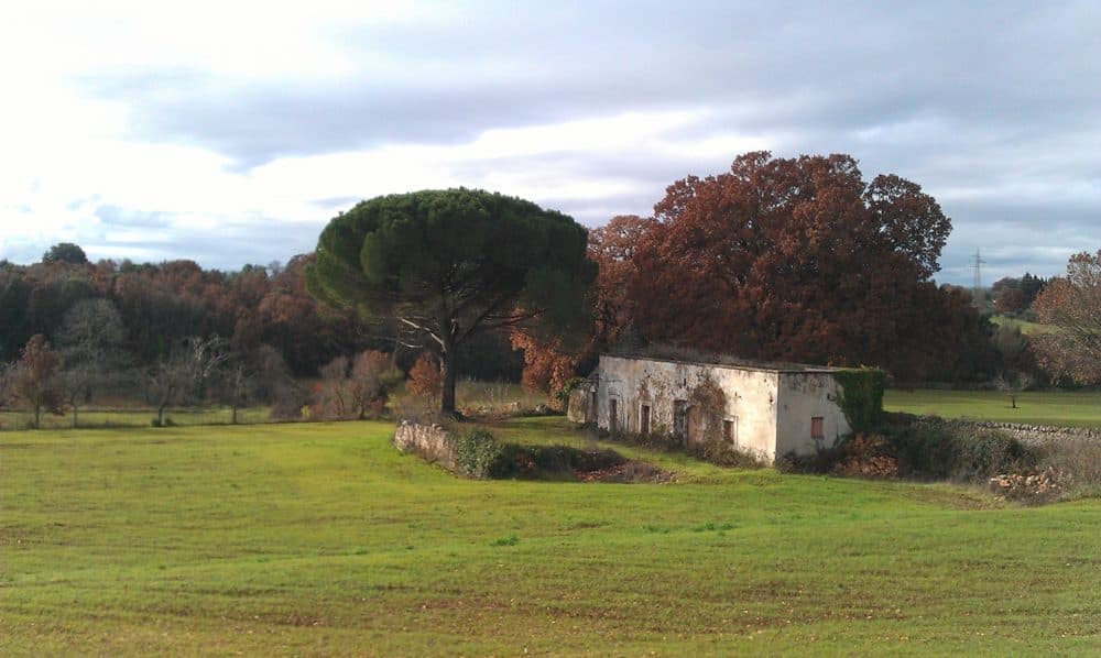 Alto Salento e Bassa Murgia