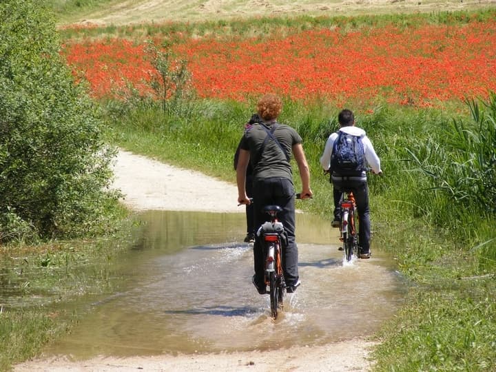 Ciclabile Colli Berici