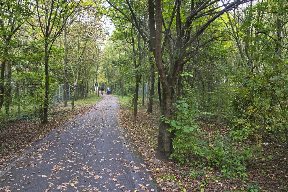 Mirandola - Finale Emilia: in bici sulla ferrovia che non c'è più