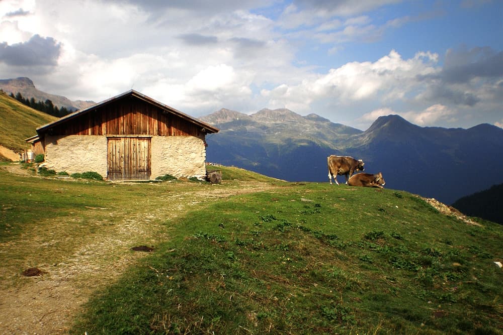 Malghe in val di Rabbi