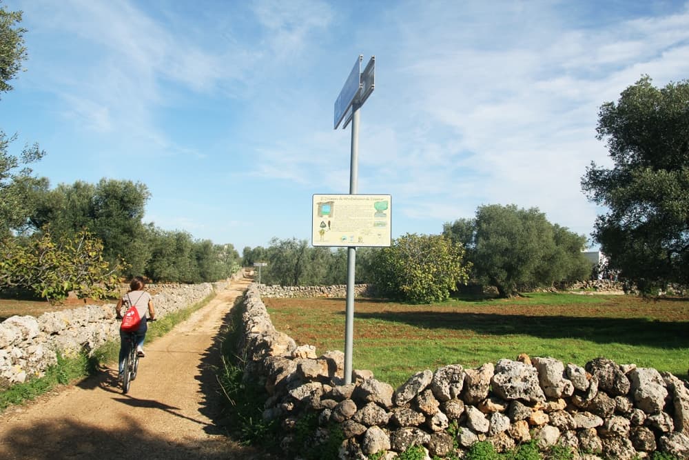 Parco Dune Costiere in bici