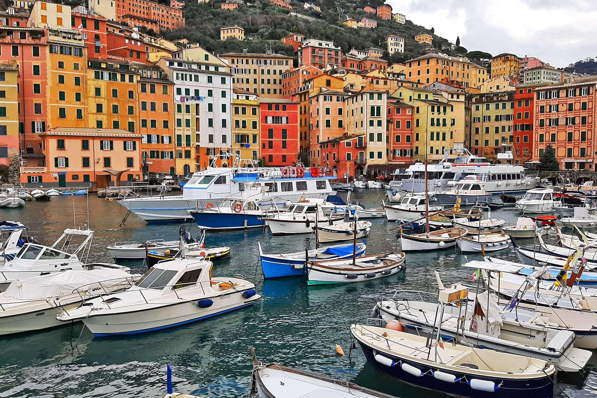 From Genoa to Sestri Levante by bicycle: Liguria east coast