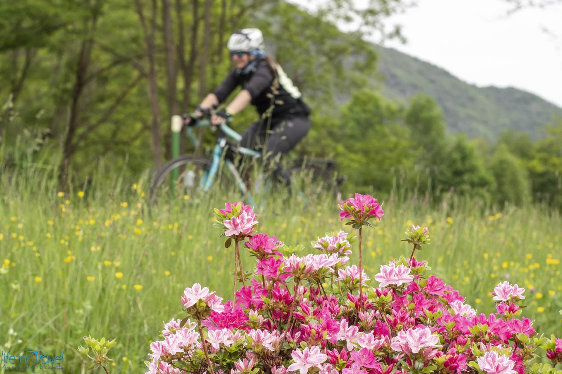 Lago Maggiore in bicicletta