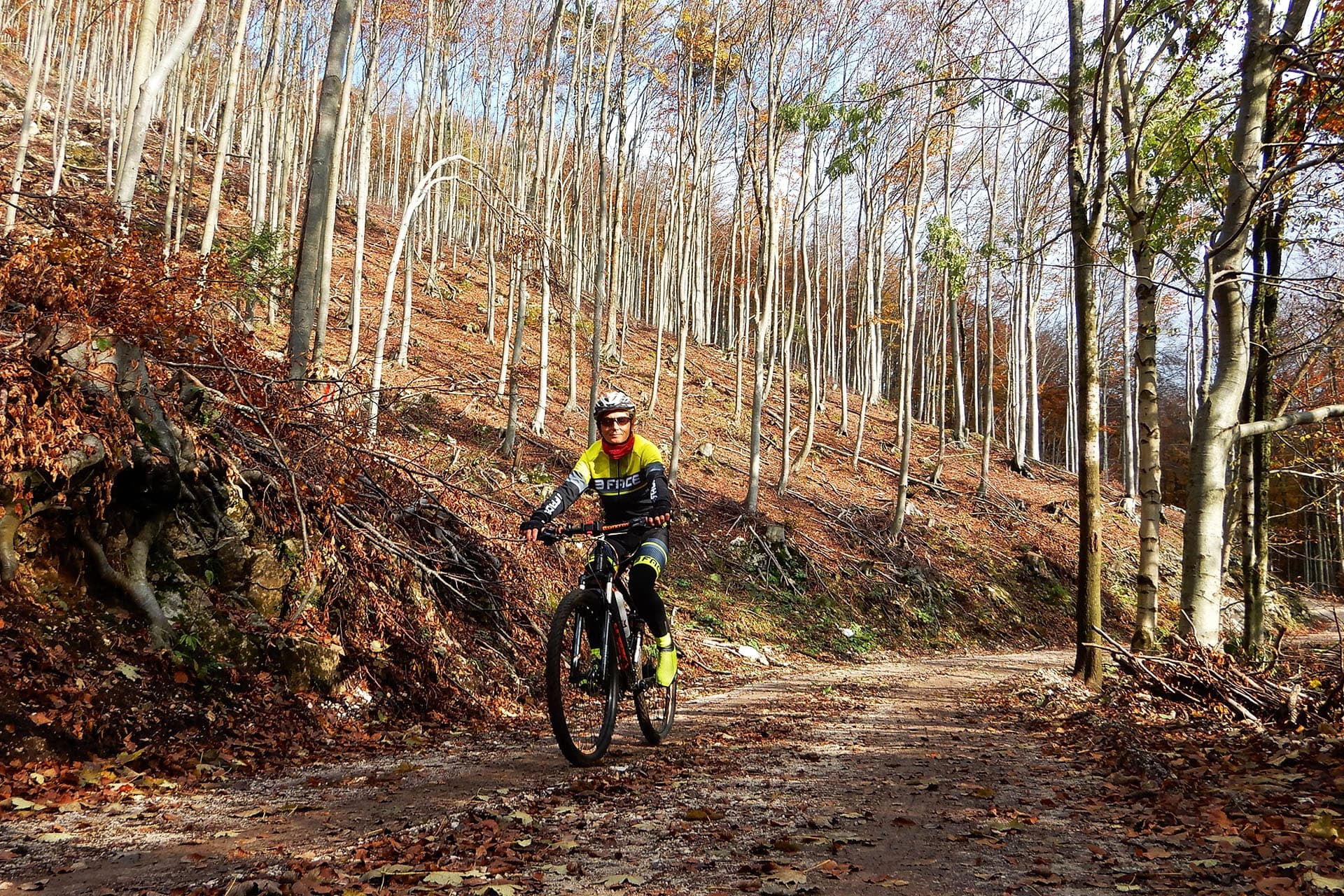 Giro della selva di Tarnova (Trnovski Gozd) in bici