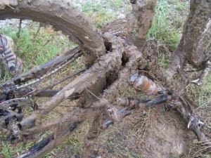 Guida MTB: come pedalare nel fango