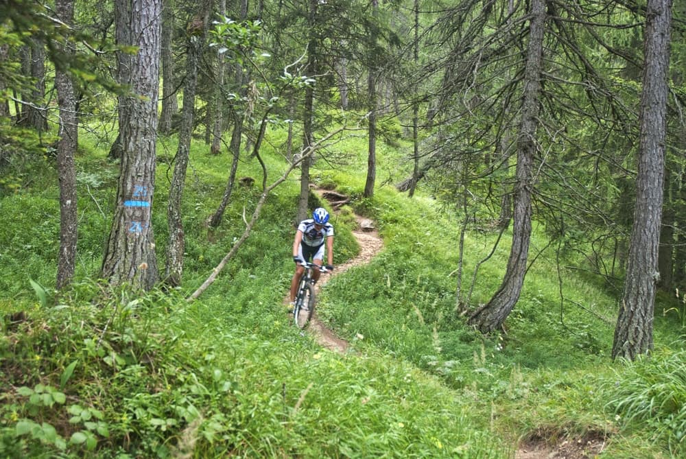 MTB in Alta val di Non: percorso tra Roen e Penegal