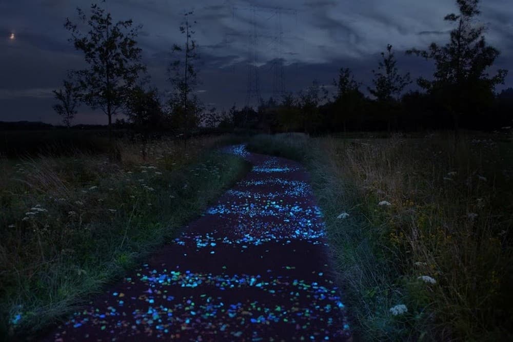 La pista ciclabile di Van Gogh, un'idea innovativa dall'Olanda