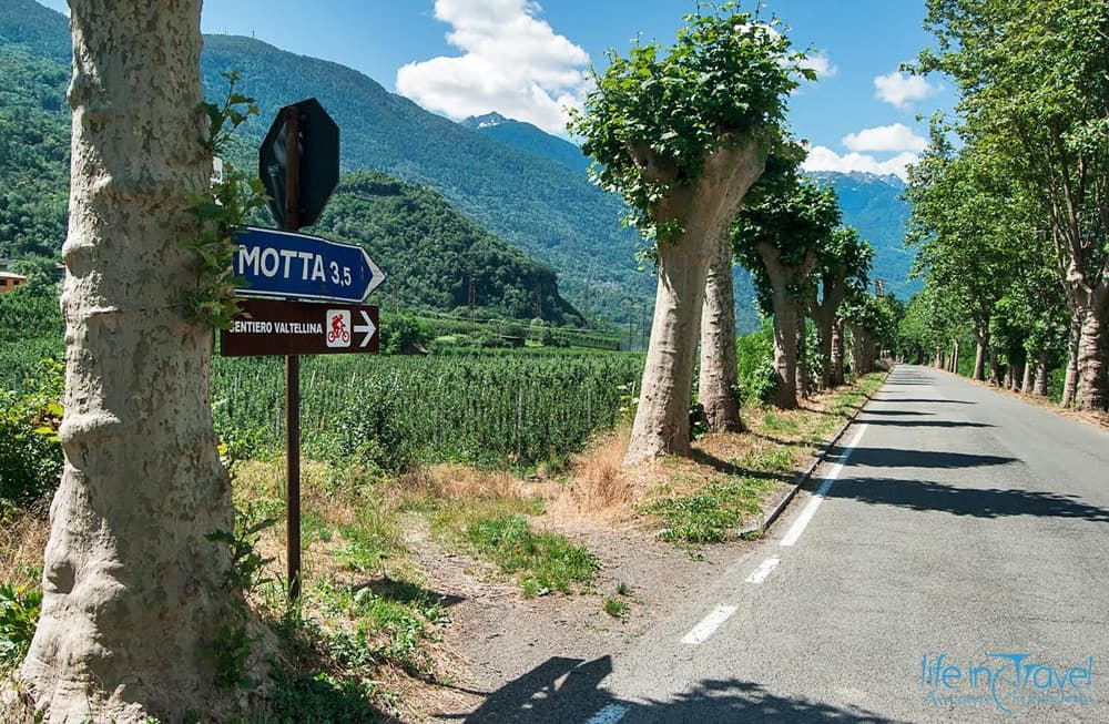 Tirano - Teglio in bicicletta | Itinerario cicloturistico in Valtellina