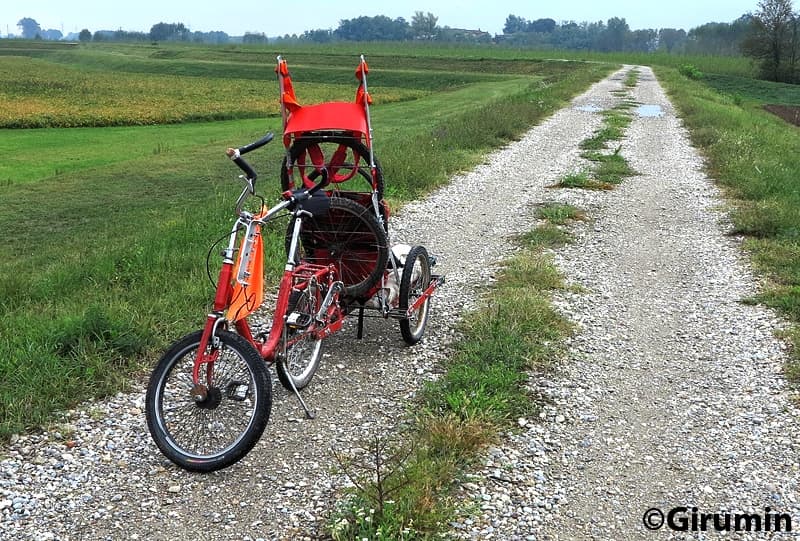 Via francigena in Goat