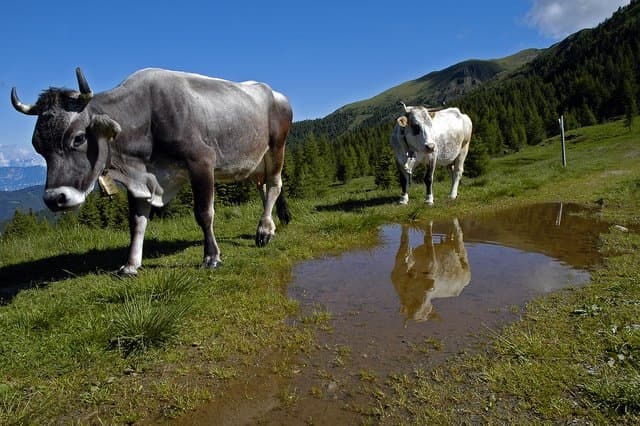 Ecomusei del Trentino: c'è anche quello del viaggio!