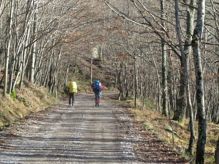 Cammino Di qui passò Francesco