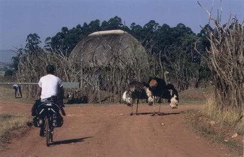 Sudafrica in bici