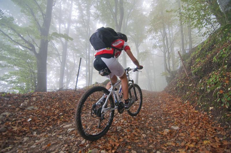 mtb in autunno