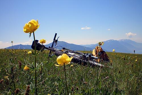 Mountain bike monte Casale