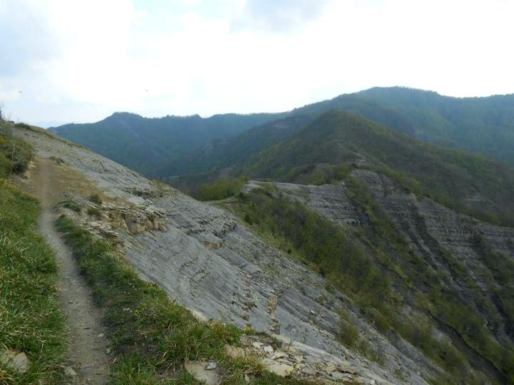 appennino forlivese 7