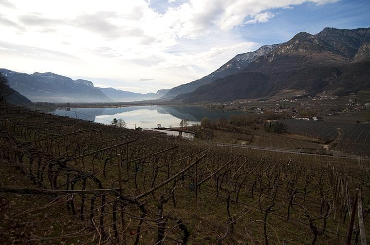 Lago di Caldaro in MTB