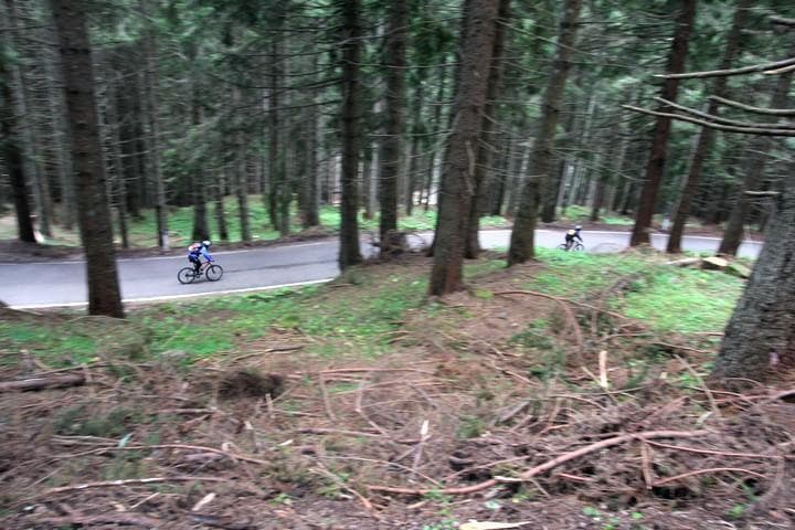 bici bosco