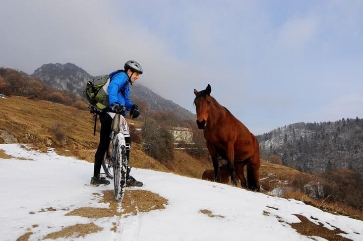 Biker e cavallo 