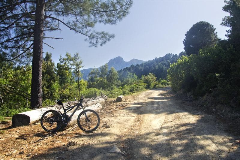 mtb corsica sterrato parco