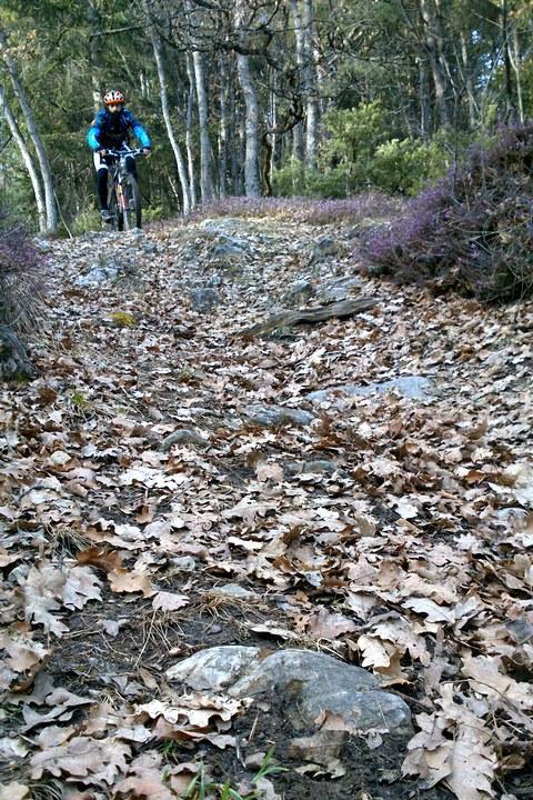 Val di Non MTB