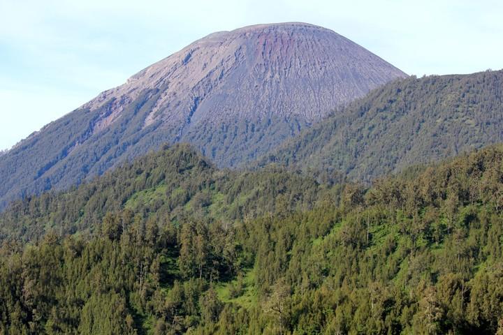 salendo verso il gigante