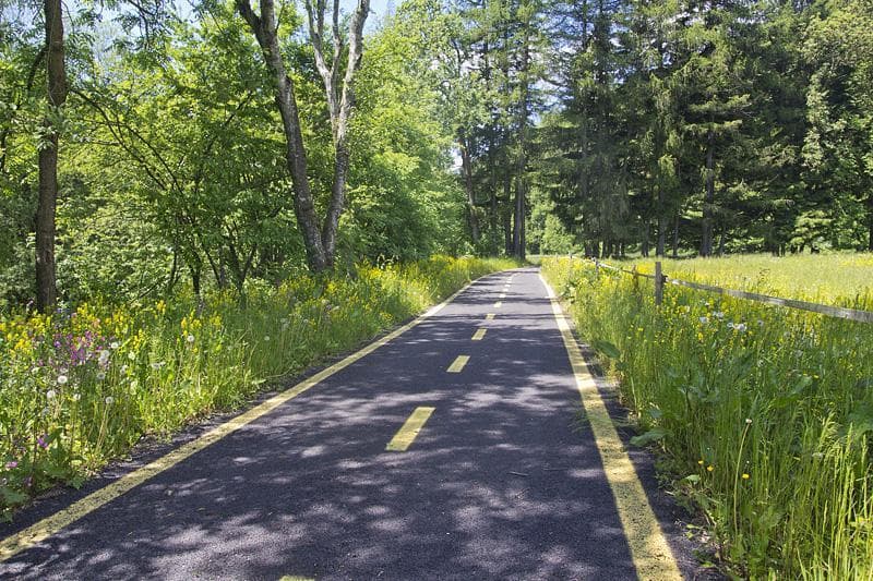 pista ciclabile valle camonica