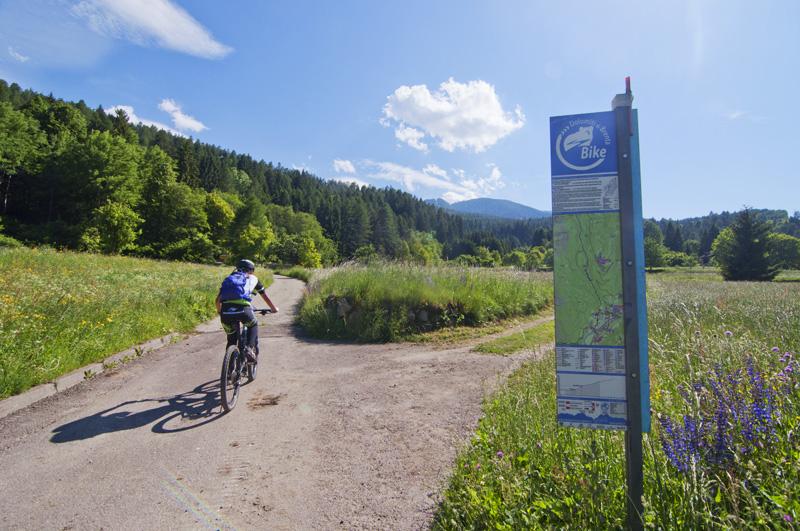 dolomiti di brenta bike